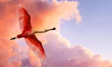 享受轻松愉快，做到无忧无虑的开心状态