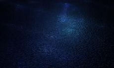 在暖风中哭泣的雨，为午夜增添悲伤的情绪，悄然掀起了一个新的季节