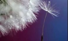 当你不敢相信自己时，抖音最受欢迎的后悔句子，能够为你注入正能量