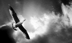 如何以一句话表达追求，让人心潮澎湃，激励自己超越舒适区？