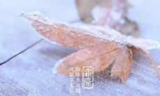 收录了丰富多彩、传递温情的霜降祝福语大合集