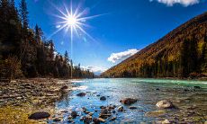 探寻詹姆斯友情的充盈内涵：一组情感深厚的句子集锦