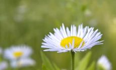 试着用这些句子来引发你的幸福感：振奋人心的语言让你变得开心起来