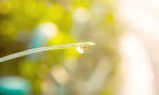 清晨如诗如画：用文字描绘迷人的日出时刻