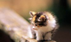 如何创造一个简单却深刻的座右铭：探索座右铭的创作过程及其对心灵的积极影响