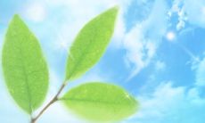 随着立夏的到来，述说几句句子来迎接这个炎热季节的到来，表达内心情感的寄语