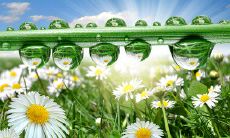 如何用有趣的文本消息与客户保持良好联系？——让客户在幽默问候短信中笑声不断的故事