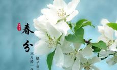 2022年最新的关于春分的句子，包含祝福、象征和文化的多元表达方式