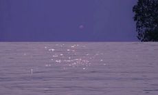 到了该放手离开的时刻：让心痛说活的句子