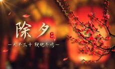 一份温馨祝福，送给你在除夕夜的美好时刻：美妙句子，让心充满爱！