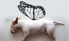 一连串逗趣又让人开心的句子，让你在笑声中度过美好时光