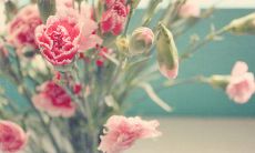 在生命的旅程中，快乐最关键的话题是活在当下，并寻求一切方式以充实你的生活经验