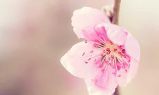 减轻忧愁和拥抱快乐：一系列透彻研究心灵的句子，让您感到心情开心顿时迸发出来