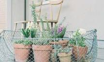 一系列让你欢乐莫名、开怀大笑的幽默语句-让你快乐无边！