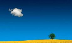 经典句子揭示人生无奈，让我们思考生命真谛