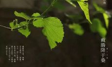 分享有关谷雨节气的文字或图片，传递温暖与祝福：借谷雨节气之际，发朋友圈传递关爱和祝福，分享美好文字和图片，温暖自己，也温暖他人！