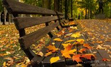 探究歌德名言背后的励志哲学：如何在生活中借鉴其思想实践自我成长？