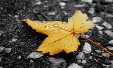 经典鼓舞人心的房产销售名言：用行动让梦想成真，创造不竭的机会，追求卓越的品质，赢得无限的成功！