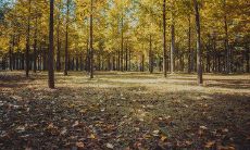 在寒冷的季节，向客户发送温暖的问候——短信与邮件的灵活运用