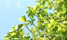 探究立夏的气象文化：文学中的二十四节气之一——立夏诗选