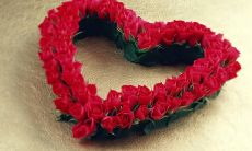 30句短小精悍的表白语句，让你向心爱之人表达你的爱意