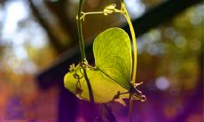 最全、最经典的2022情人节告白句子合集，获得万千情人的心！