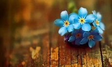 一些关于友情美好的句子，让你感受到友情的真谛和它带给人们的意义和价值