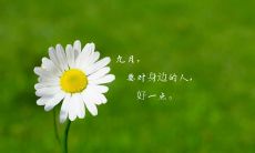 九月的精选朋友圈句子，为你传递温暖和力量！