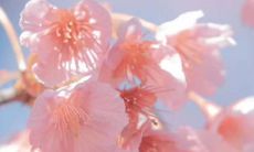 令人欢乐愉悦的充满霸气的经典名言