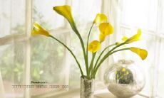 海量亲情唯美句子，令您无法自持感动落泪