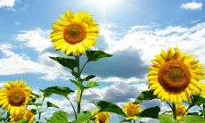 一份充满正能量的座右铭大全，为你带来积极向上的力量