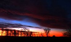 汇集人间最温馨、唯美的亲情句子：感动至深！