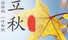 如何在立秋这个传统节气发放有创意的红包句子来表达日益增长的感恩心情？