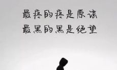 如何用语言描述那种心痛却无法启齿的情感？