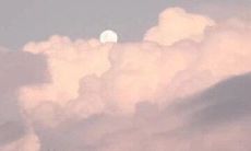 探索在朋友圈中脱颖而出的经典文案，带有个性特色，让你的朋友圈成为独一无二的风景线