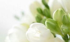 时间未见，终于重逢的那句温暖亲切的家人问候