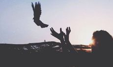 通过阅读和反思，学会让自己的内心变得平静的句子