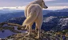 在挫败背后孕育着力量：AI助手的励志报仇建议，让你重获尊严和勇气！