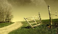 深感失望：对父母感到巨大的失望和心痛的表达句子