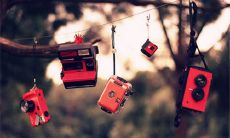 2022年如何在朋友圈祝福白色情人节？分享创意内容，让你的朋友圈祝福充满温馨和浪漫！