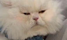 沙雕女孩的天真萌趣和富有创意的文案展现了其迷人可爱的魅力