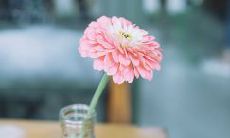 令人感动的关于家庭亲情的唯美句子，能让你深刻体会到亲情的温馨与重要性