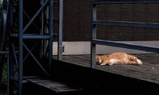 集锦，带你深入体味爱情的无限美好