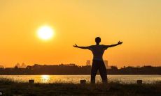 掌握这些鸡汤句子，让你的每一天都充满正能量和动力！