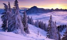 温暖陪伴，暖心句子，给你度过寒冬