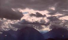 每日甜蜜早安问候短信，传递关怀温暖