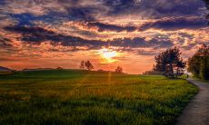 可以改成： 使用短信向好友发送问候的有效方法