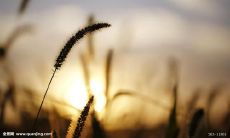 一大波积极、欢欣、高兴、欣喜若狂、心花怒放、眉开眼笑、展颜一笑、笑容满面、兴高采烈、沉浸在欢愉中的人物表现方式！