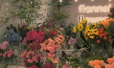 我的祝福：献给我自己18岁生日的最美好祝愿和心愿的分享