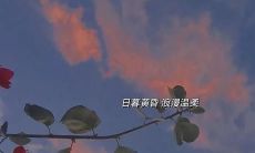 一个让人深感矛盾心酸不已、难以言喻的句子